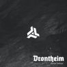 Drontheim "Down Below" (LP)