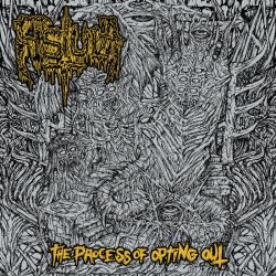 Fistula "The Process Of Opting Out" (CD)