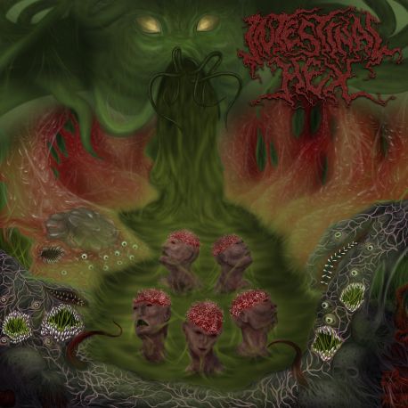 Intestinal Hex "The Exalted Chambers Of Abhorrence" (DigipakCD)