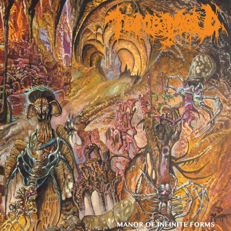Tomb Mold "Manor Of Infinite Forms" (CD)