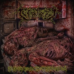 Teratology "The Lingering Stench Of Anatomopathological Scum" (CD)