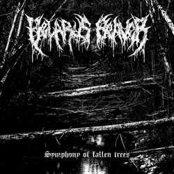 Belarus Beaver "Symphony of Fallen Trees" (CD)