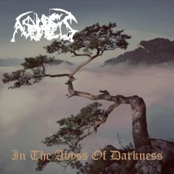 Ashes "In The Abyss Of Darkness" (CD)