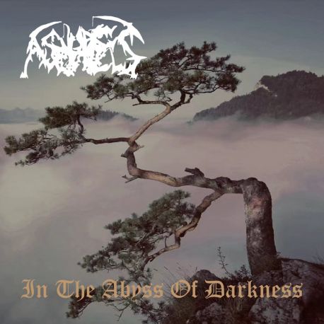 Ashes "In The Abyss Of Darkness" (CD)