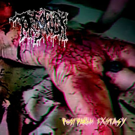 Torsofuck "Postpartum Exstasy" (LP)