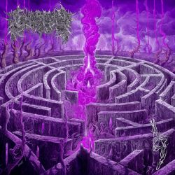 Civerous "Maze Envy" (CD)