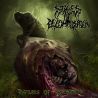 Stages Of Decomposition "Raptures Of Psychopathy" (CD)