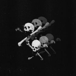 Primitive Slaughter "Endless Raids" (MCD)