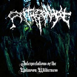 Antagonyze "Interpretations Of The Unknown Wilderness" (CD)