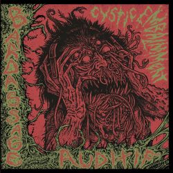 Cystic Embalment "Bardassage Auditif" (CD)