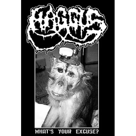 Haggus "What's Your Excuse?" (Tape)