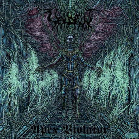 Valdrin "Apex Violator" (LP)
