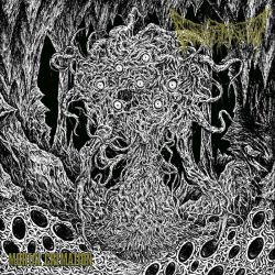 Defenestration "Mortal Cremation" (CD)