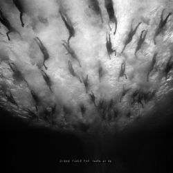 Morild "Disse Fugle Får Ingen At Se" (LP)