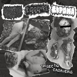 Liquid Viscera/Egggore/Lipoma "Trisectio Cadaveris" (CD)