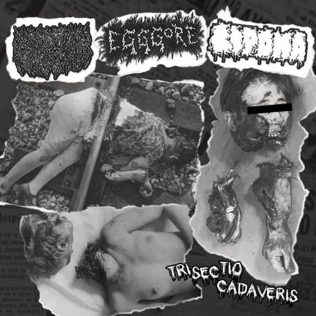 Liquid Viscera/Egggore/Lipoma "Trisectio Cadaveris" (CD)