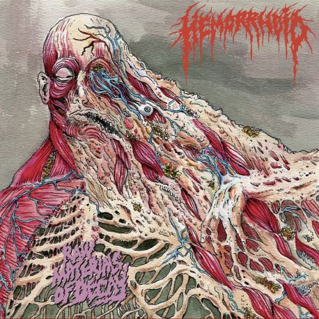 Hemorrhoid "Raw Materials Of Decay" (CD)