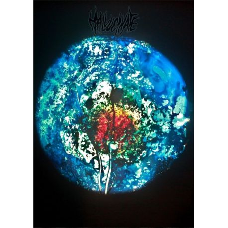 Hallucinate "From The Bowels Of The Earth" (Tape)