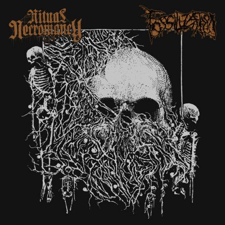 Ritual Necromancy/Fossilization "Split" (MCD)