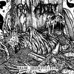 Raw Addict "Swarm Decomposition" (CD)