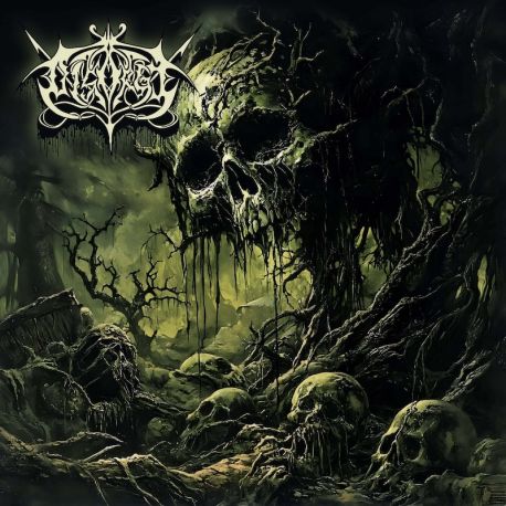 Disorge "Disorge" (CD)