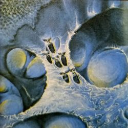 Tthalarion "Towards The Obscure Slumberland" (LP)