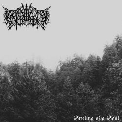 Erstwhile "Steeling Of A Soul" (LP)