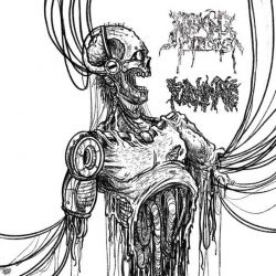 Fulminate/Reeking Pieces "Split" (CD)