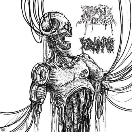 Fulminate/Reeking Pieces "Split" (CD)