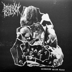 Death Toll 80k "Grindcore Noise Flood" (LP)