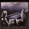 Königreichssaal "Witnessing The Dearth" (CD)