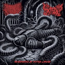 Hacked Up/Desecrated Extinction "Reanimated By Putrid Larvae" (CD)