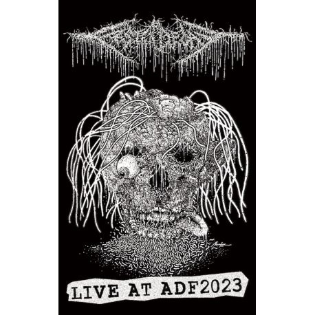 FesterDecay "Live At ADF 2023" (Tape)