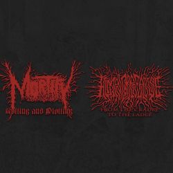 Human Corpse Abuse/Mortify "From The Cradle To The Ladle/Rotting And Plotting" (CD)