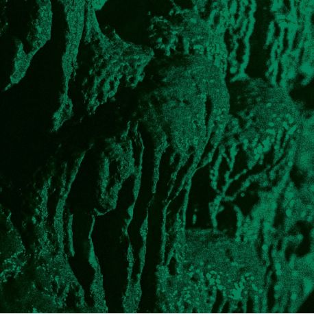 Ch'Ahom "Excavation" (LP)