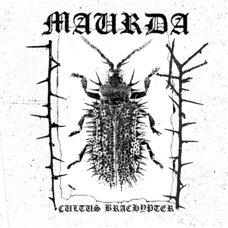 Maurda "Cultus Brachypter" (MCD)