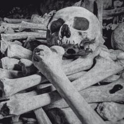 Encoffination "Necros Obscuritas" (CD)