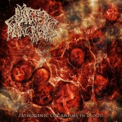 Ecryptus "Kyr’am Beskar" (MCD)