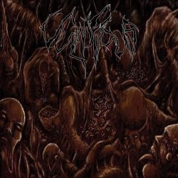 Vulnificus "Inclination" (CD)