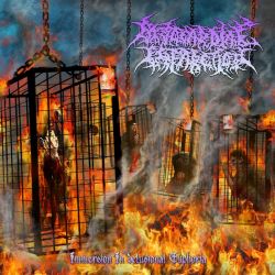 Myocardial Infarction "Immersion In Delusional Euphoria" (CD)