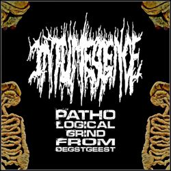 Intumescence "Disgorgement Of Dysentery" (SlipcaseMCD)