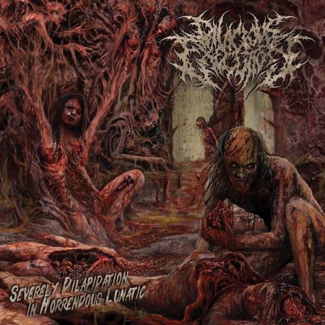 Divicious Execution "Severely Dilapidation In Horrendous Lunatic" (CD)