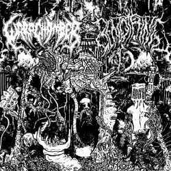 Warp Chamber/Benothing "Split" (7")