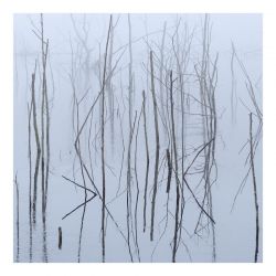 Olhava "Frozen Bloom" (DigipakCD)