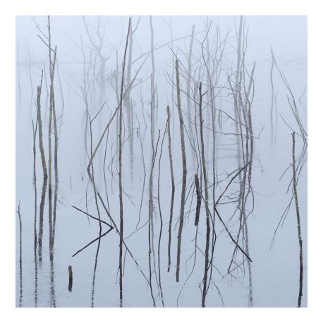 Olhava "Frozen Bloom" (DigipakCD)