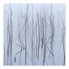 Olhava "Frozen Bloom" (DigipakCD)
