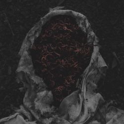 Gorrch "Stillamentum" (DigipakCD)