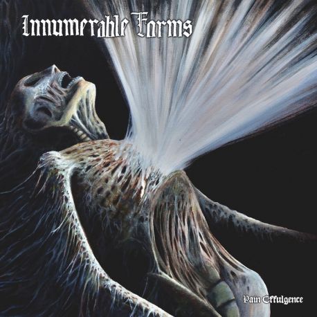 Innumerable Forms "Pain Effulgence" (CD)