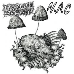 Morgue Breath/Nampla Chang "Split" (CD)