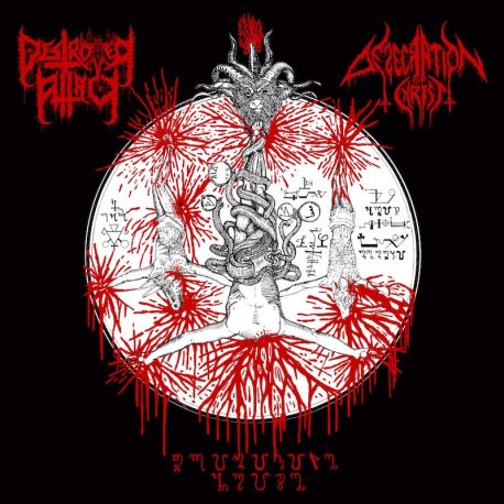 Destroyer Attack/Desecration Of Christ "Primitive Noise" (CD)
